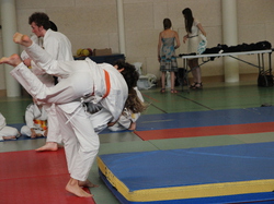 Gala judo 2015