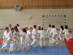 Remise ceintures JUDO 2013