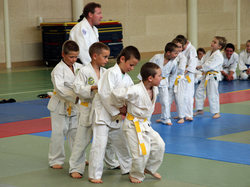 Remise ceintures JUDO 2013