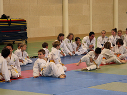 Remise ceintures JUDO 2013