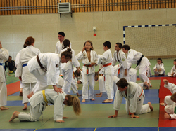 Remise ceintures JUDO 2013